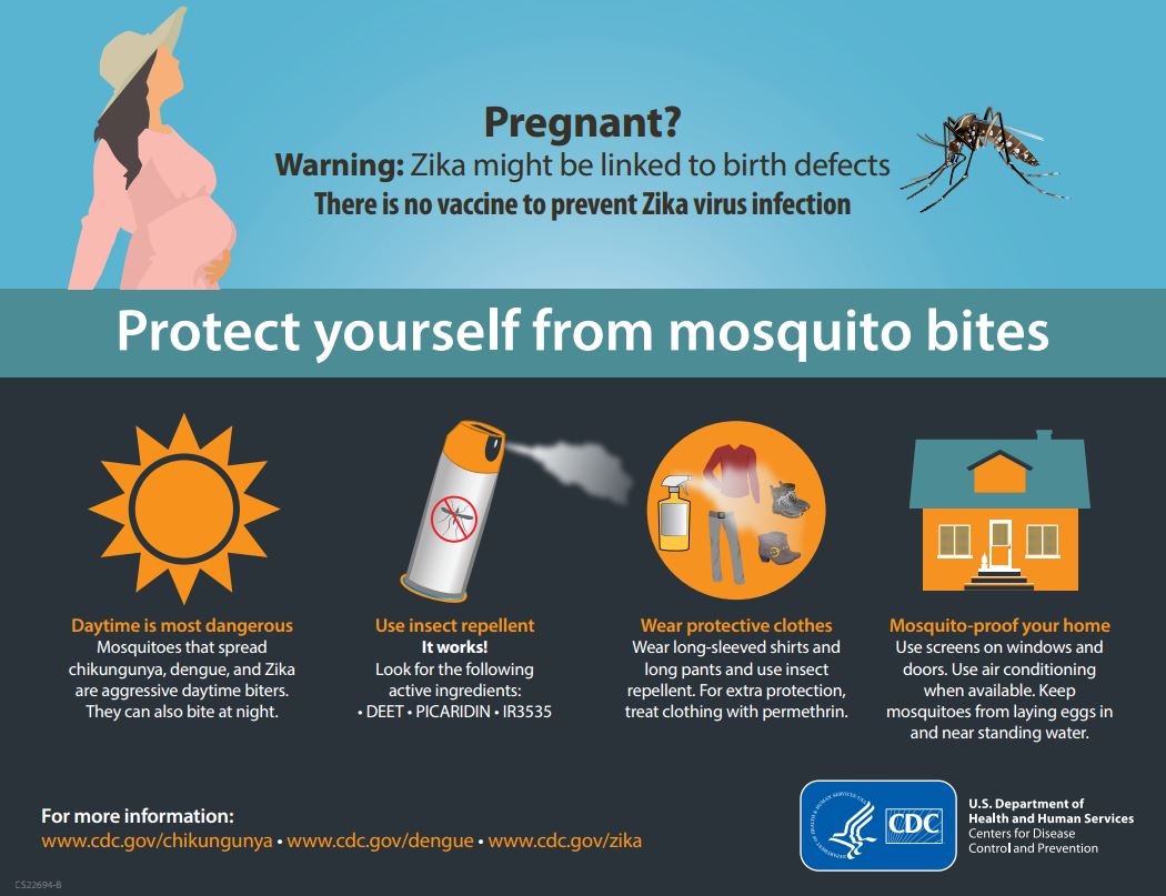 Zika Mosquito Protection for Pregnant Women