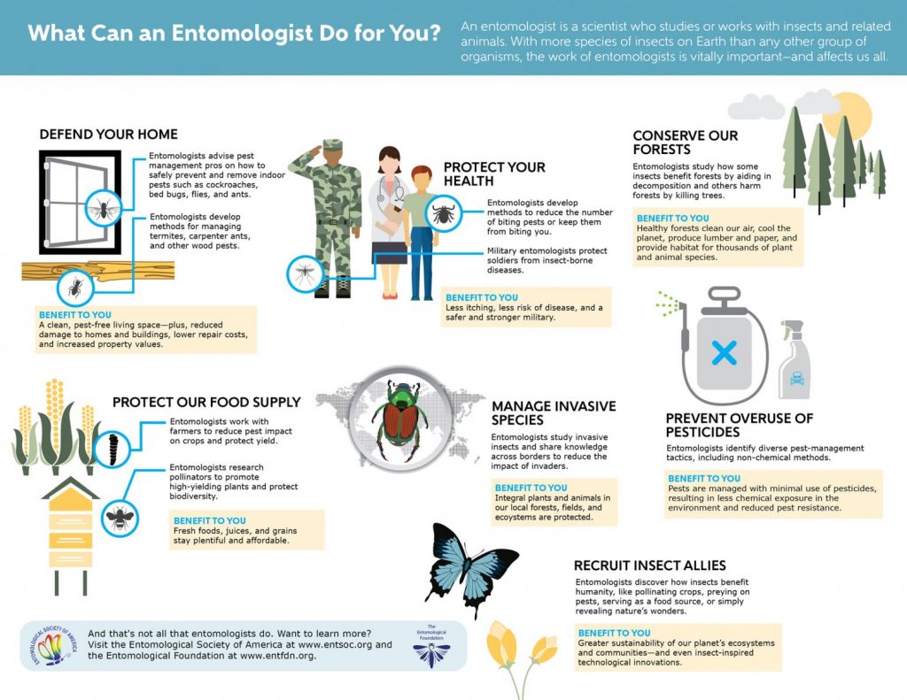 What Can an Entomologist Do For You entsocdotorg