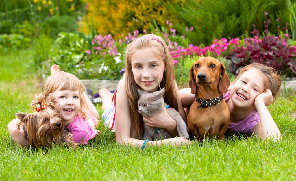 pets-are-good-for-kids