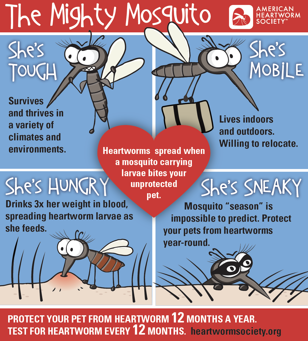 Heartworm Awareness Month The Mosquito Authority